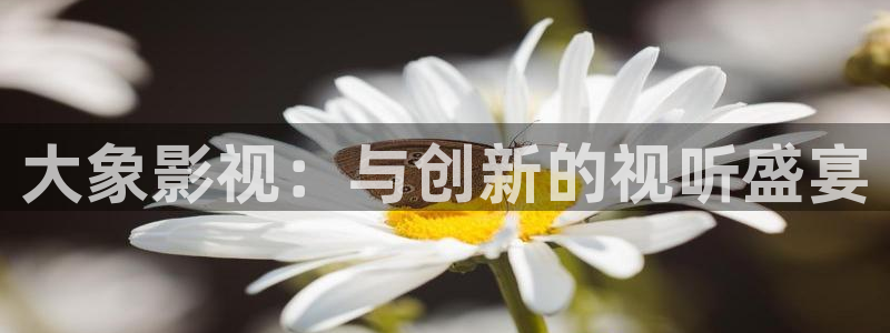 西瓜哈密：大象影视：与创新的视听盛宴