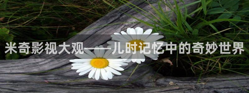 西瓜影院理论片日本电影：米奇影视大观——儿时记忆中的奇妙世界