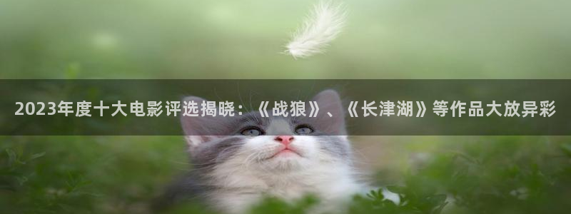 2023西瓜影院：2023年度十大电影评选揭晓：《战狼》、《长津湖》等作品大放异彩