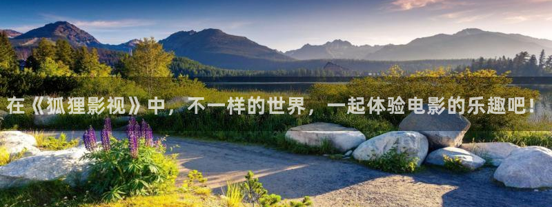 卧底归来二免费观看西瓜：在《狐狸影视》中，不一样的世界，一起体验电影的乐趣吧！