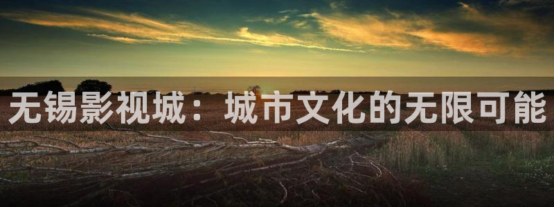 武清西瓜：无锡影视城：城市文化的无限可能