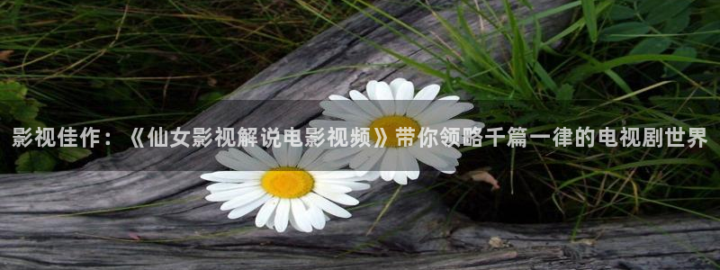 西瓜天狼影院在线观看免费高清电视：影视佳作：《仙女影视解说电影视频》带你领略千篇一律的电视剧世界