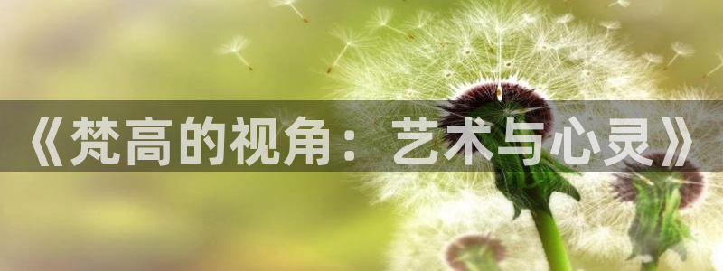 西瓜视频怎么免费看电影：《梵高的视角：艺术与心灵》
