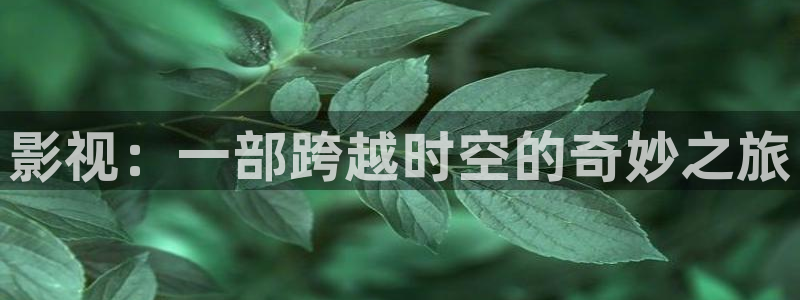 玉楼春免费观看全集完整版西瓜：影视：一部跨越时空的奇妙之旅