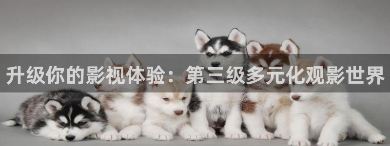 西瓜本：升级你的影视体验：第三级多元化观影世界