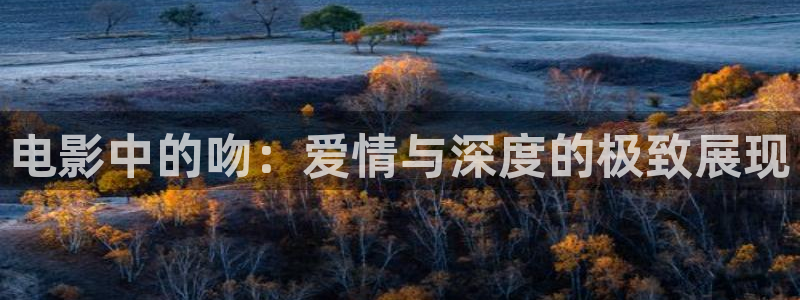 玉楼春电视剧在线观看西瓜：电影中的吻：爱情与深度的极致展现