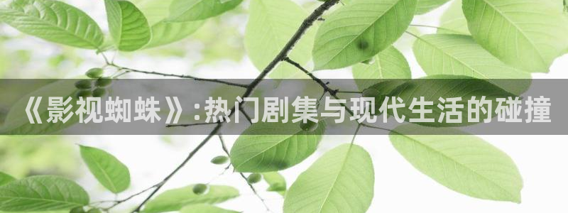 打开西瓜影院：《影视蜘蛛》:热门剧集与现代生活的碰撞