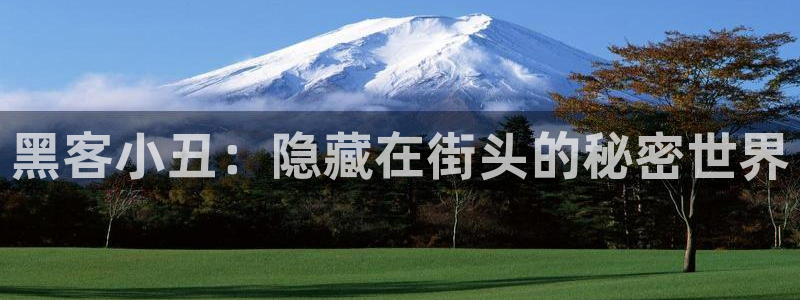 天天想你西瓜免费观看完整版：黑客小丑：隐藏在街头的秘密世界