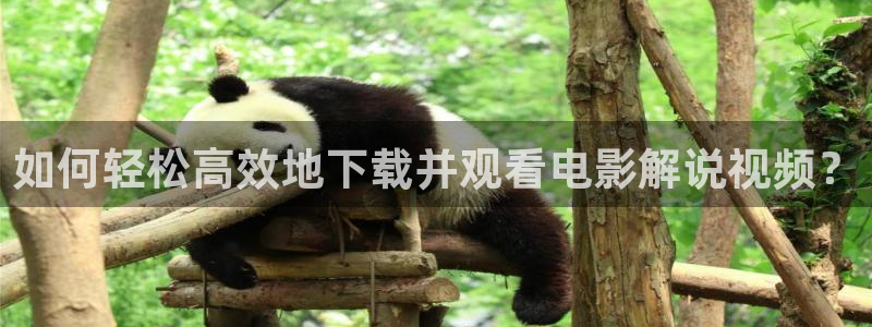 通州西瓜：如何轻松高效地下载并观看电影解说视频？