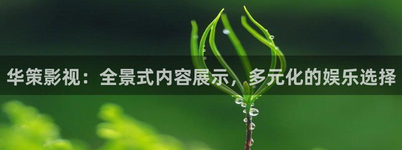 少年白马醉春风西瓜影院免费观看：华策影视：全景式内容展示，多元化的娱乐选择