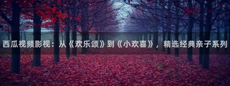 西瓜 视频