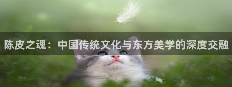 一触即发在线观看免费完整版西瓜：陈皮之魂：中国传统文化与东方美学的深度交融