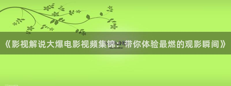 西瓜电影妈妈的朋友：《影视解说大爆电影视频集锦：带你体验最燃的观影瞬间》