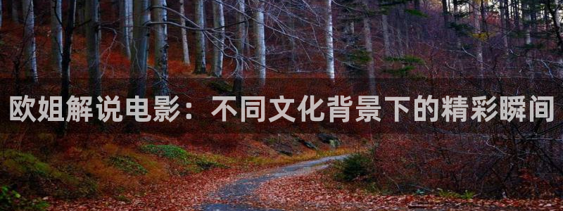 觉醒年代免费观看全集西瓜影院：欧姐解说电影：不同文化背景下的精彩瞬间