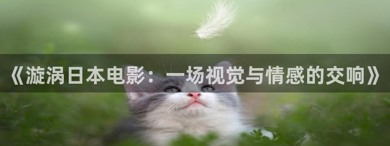 长相思电视剧在线观看免费版西瓜影院：《漩涡日本电影：一场视觉与情感的交响》