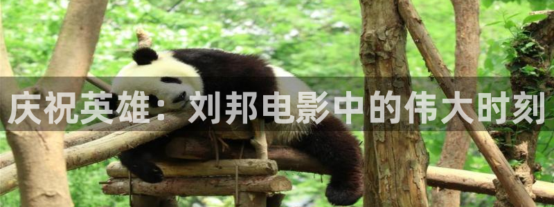 西瓜影院我不卡在线观看：庆祝英雄：刘邦电影中的伟大时刻