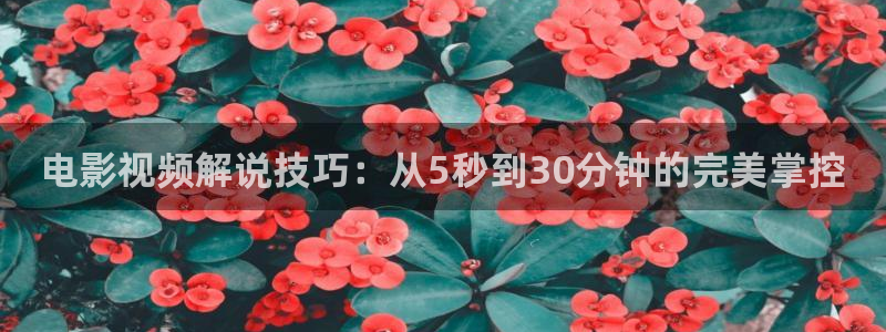 西瓜tv在线观看免费高清电视剧
