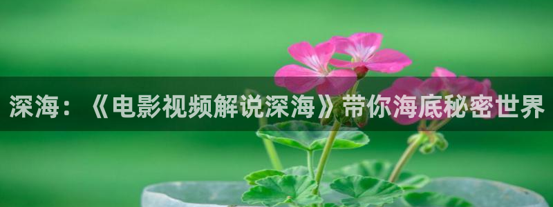 天天有喜在线全集免费西瓜