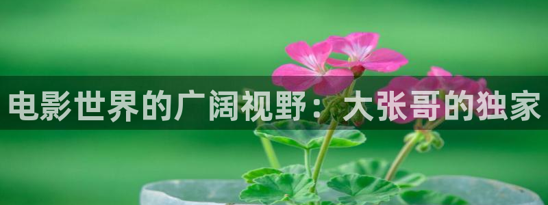 一路向北西瓜免费观看全集