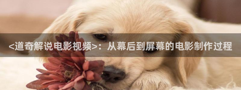 西瓜影院 伦理