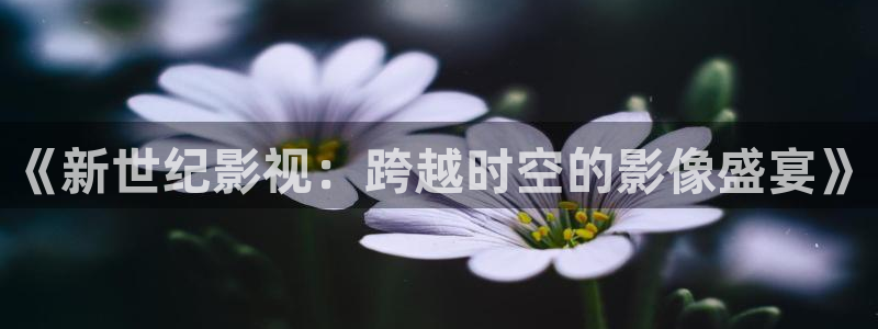 我们的法则免费完整版观看西瓜