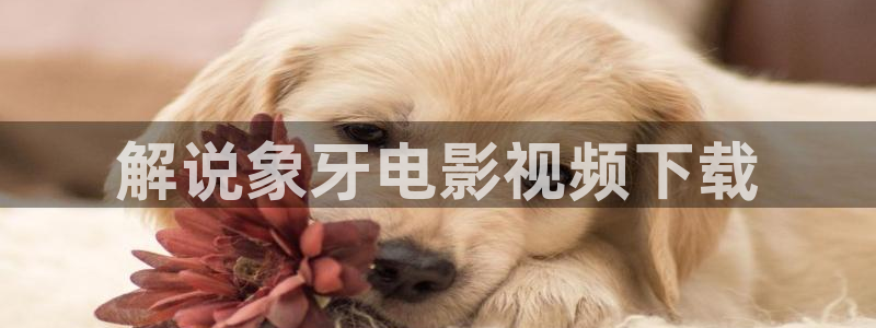 表妹西瓜影院