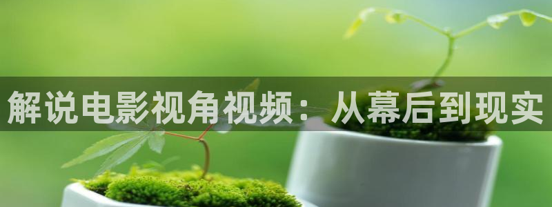 关于西瓜的画