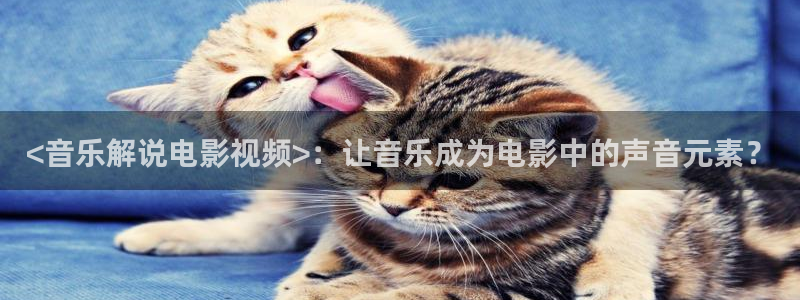 成化十四年西瓜免费观看