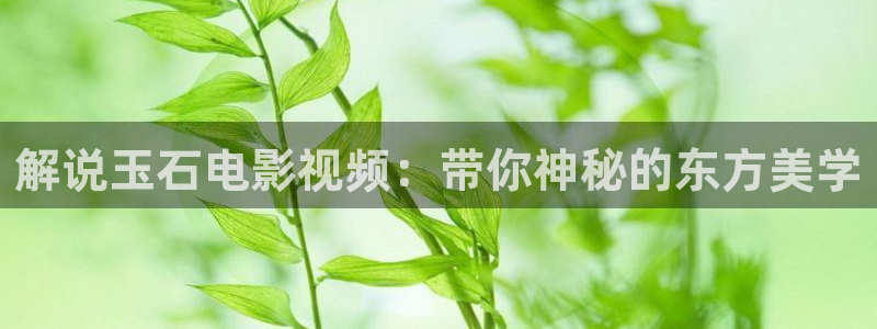 西瓜电影官网