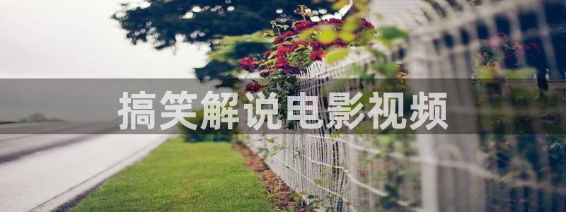 西瓜了