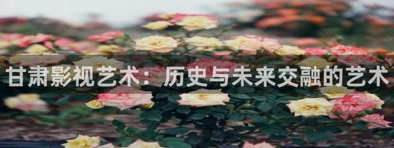 午夜西瓜电影