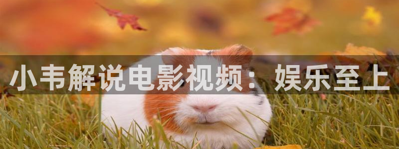 西瓜影院入口