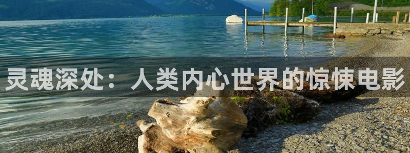 麻雀免费观看完整版西瓜