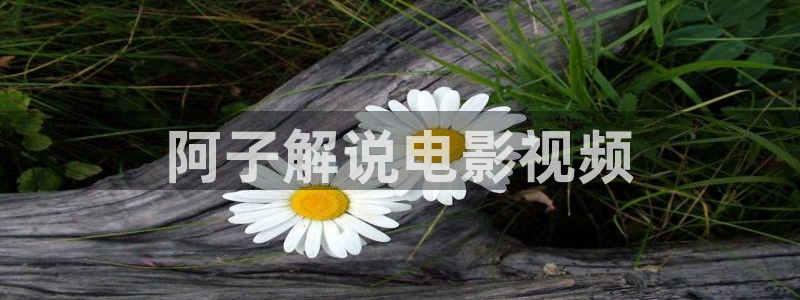 西瓜影院安卓下载