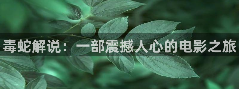 西瓜视频在线免费观看