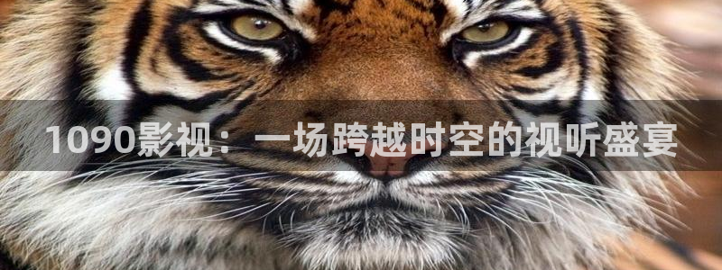工人大院免费观看全集西瓜