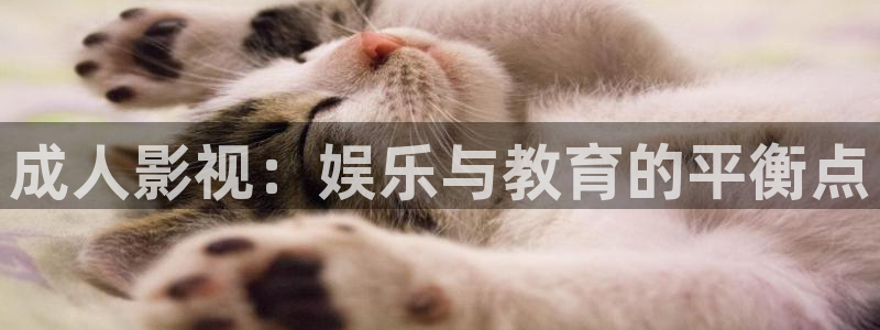 西瓜影院大全免费观看
