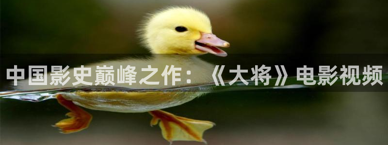 西瓜视频免费在线