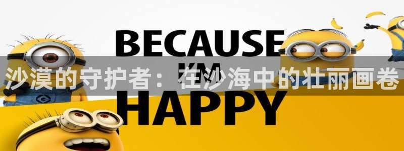 西瓜影院理论电影理论片未删减