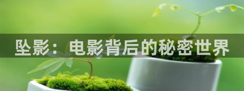 西瓜av电影