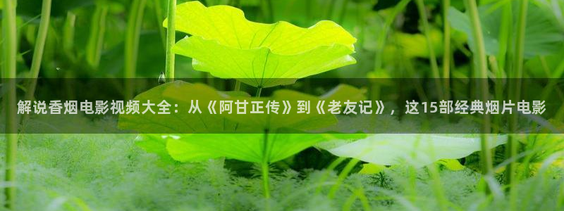 西瓜视频官网网页版