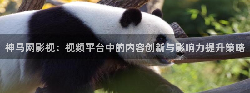 浙江省西瓜：神马网影视：视频平台中的内容创新与影响力提升策略