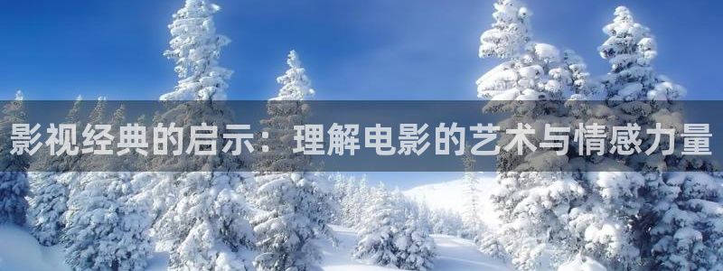 神马西瓜影院：影视经典的启示：理解电影的艺术与情感力量