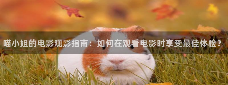 奋斗在线观看免费西瓜：喵小姐的电影观影指南：如何在观看电影时享受最佳体验？