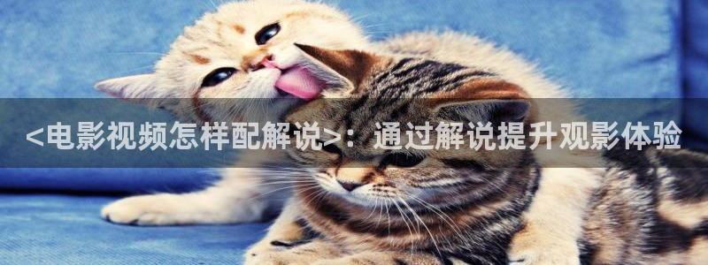 你好安怡免费观看全集西瓜影院：<电影视频怎样配解说>：通过解说提升观影体验