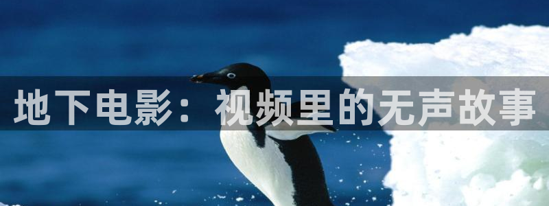 西瓜视频在线免费观看全部电视剧：地下电影：视频里的无声故事
