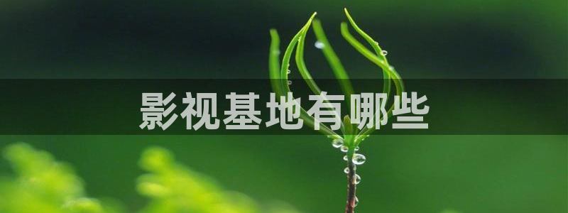 密爱西瓜电影
